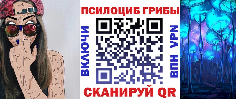 Псилоцибиновые грибы Cubensis  где найти   Звенигород 